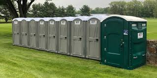 Types of Portable Toilets We Offer in Peach Springs, AZ